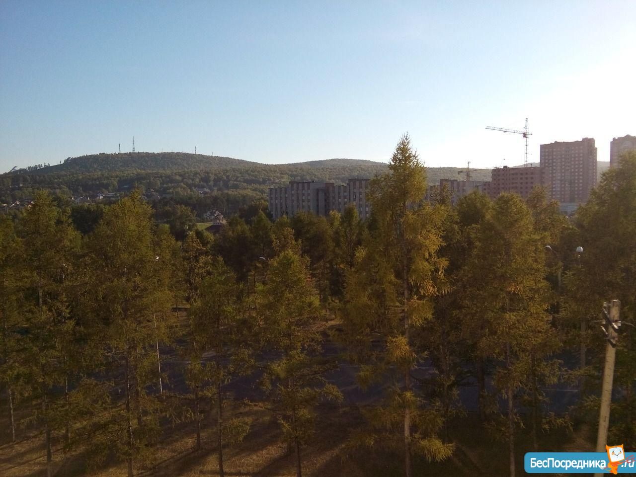 Купить 1 Ком Ветлужанке Красноярск